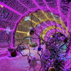 Праздничная вечерняя экскурсия по новогодней Москве со Снегурочкой с шампанским