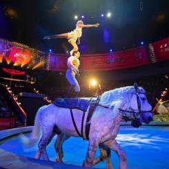 НОВОЕ НОВОГОДНЕЕ ШОУ «Больше меньше в  Цирке на Проспекте Вернадского
